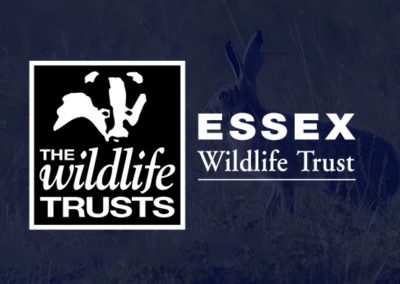 the Essex wildlife trust logo