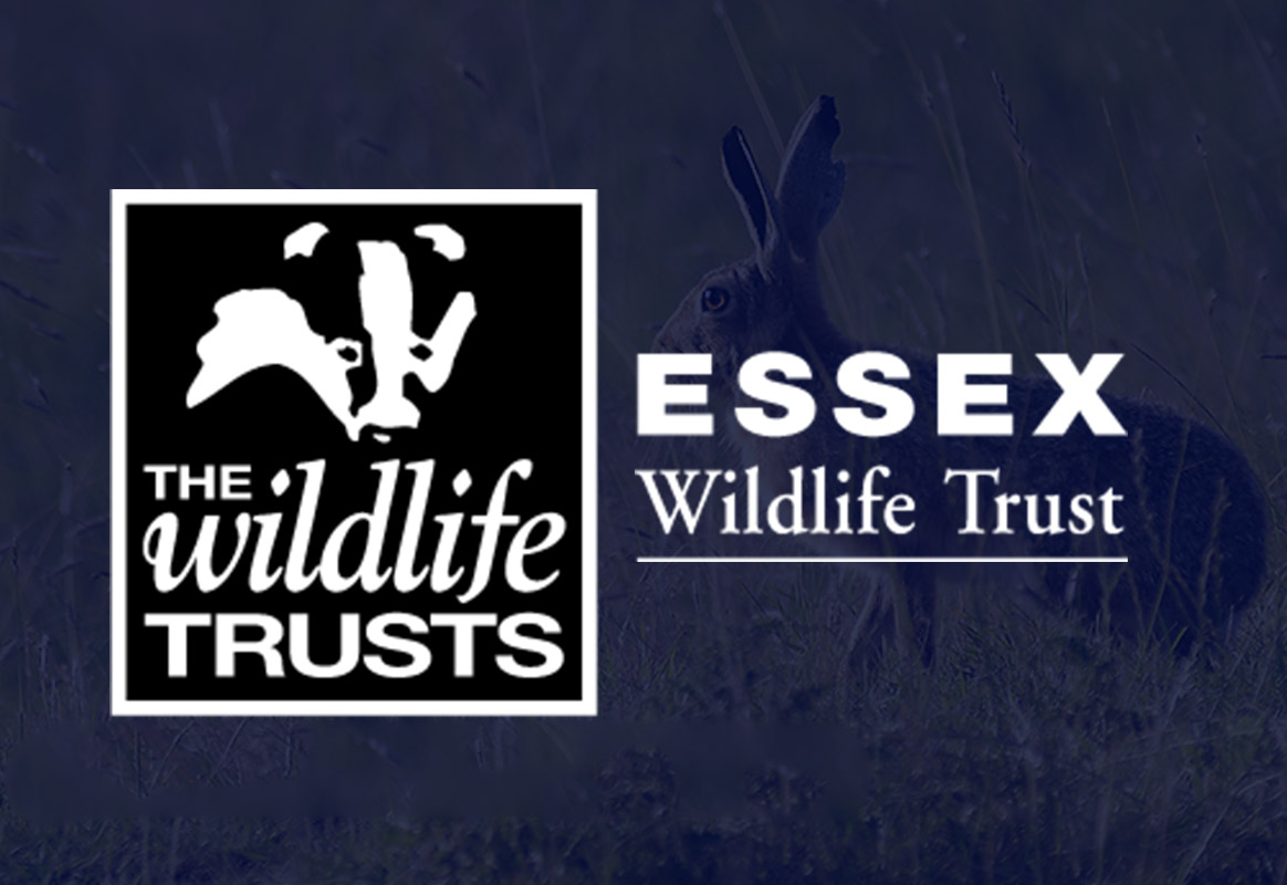the Essex wildlife trust logo
